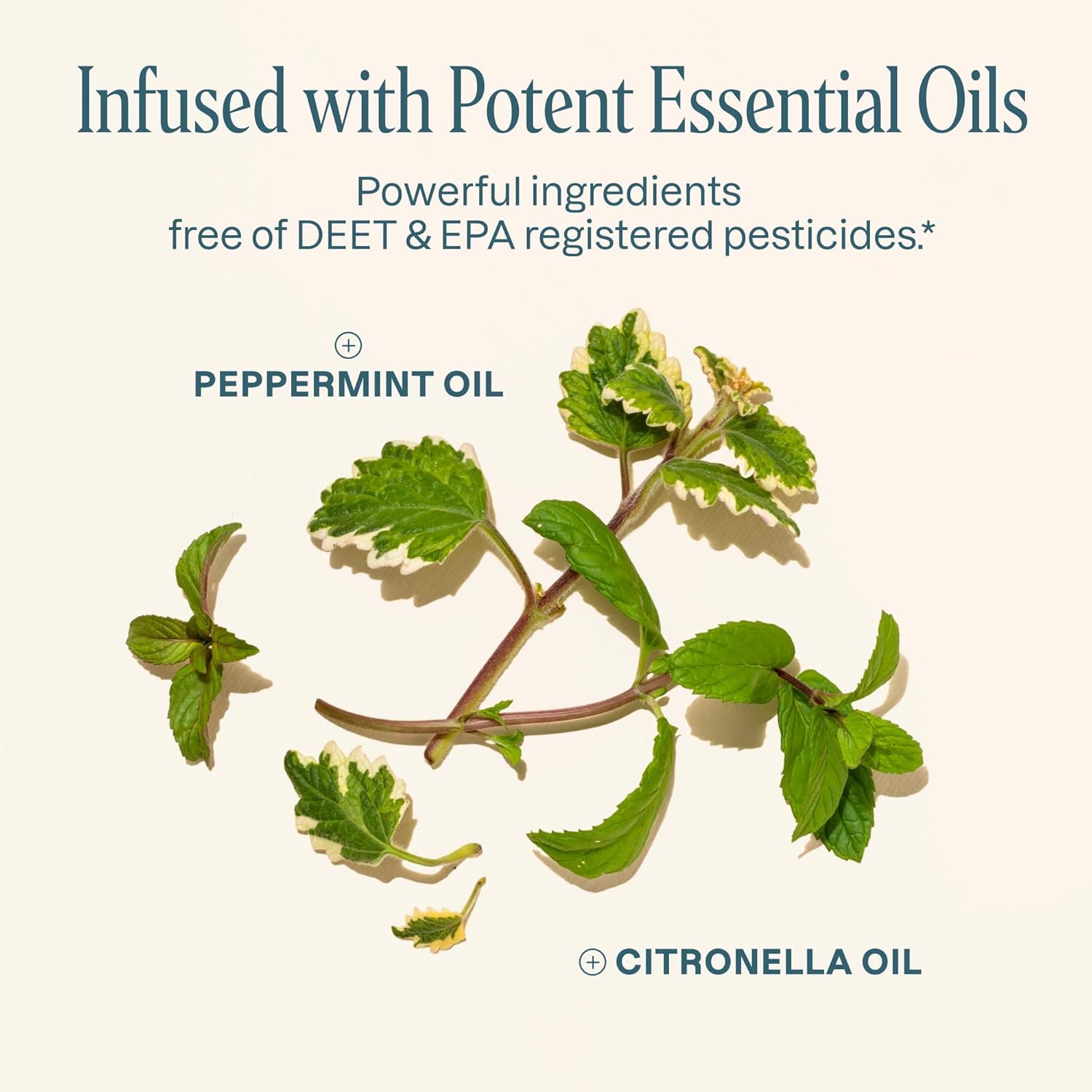 Natural Mosquito Shield Patches